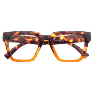 Plastic Reading Glasses